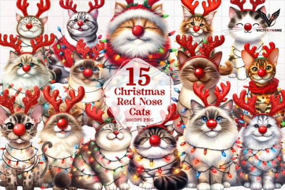 Christmas Red Nose Cats Clipart PNG for Festive Illustrations